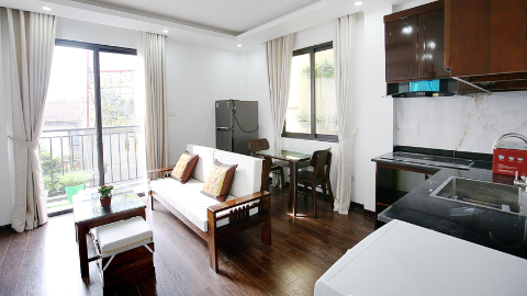 Bright furnished 1 bedroom apartment in Xuan Dieu for rent